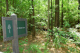Brunswick Forest Homes, Brunswick Forest Real Estate, Brunswick Forest 